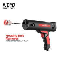 WOYO Induktion Heizbolzen Entferner Maschine für gefrorene, rostige Korrossbolzen von Auto und Maschine Kompatibel 12V/110V/220V